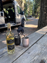 Relaxing RV rental moment: white wine, two tumblers, and a black dog on a picnic table at a shady forest campsite.