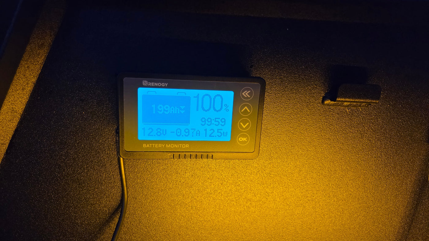 Renogy battery monitor in an rv rental, displaying 100% battery, 199Ah capacity, 12.8V, and 12.5W output. — photo 10