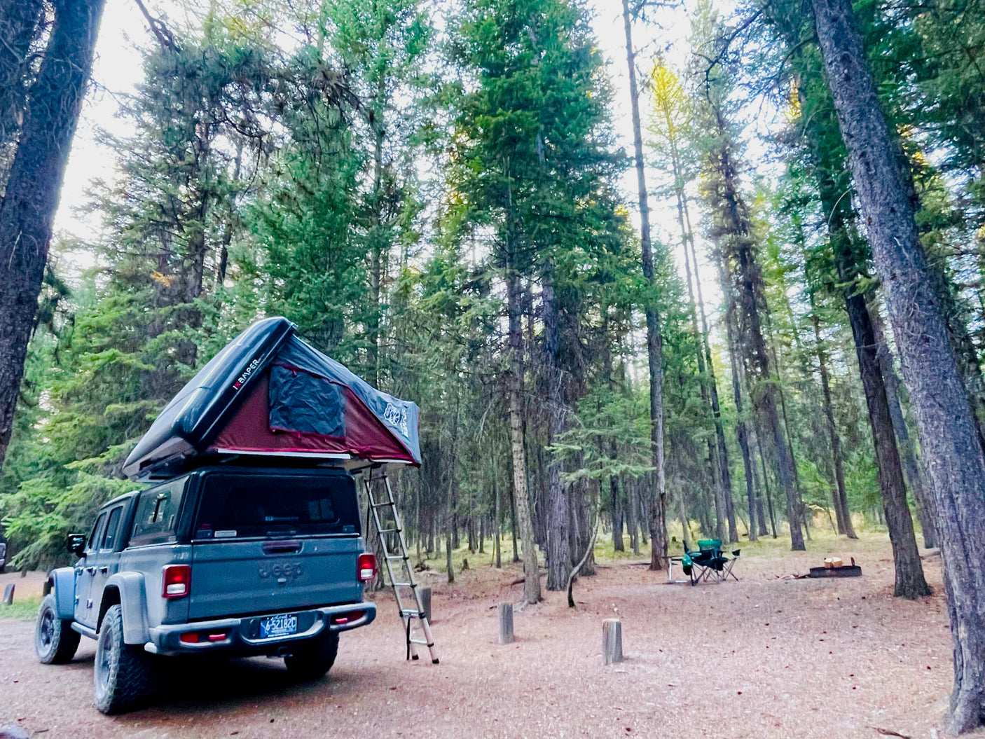 Explore nature with this RV rental alternative: a Jeep Gladiator, rooftop tent, and camp setup in a serene forest.