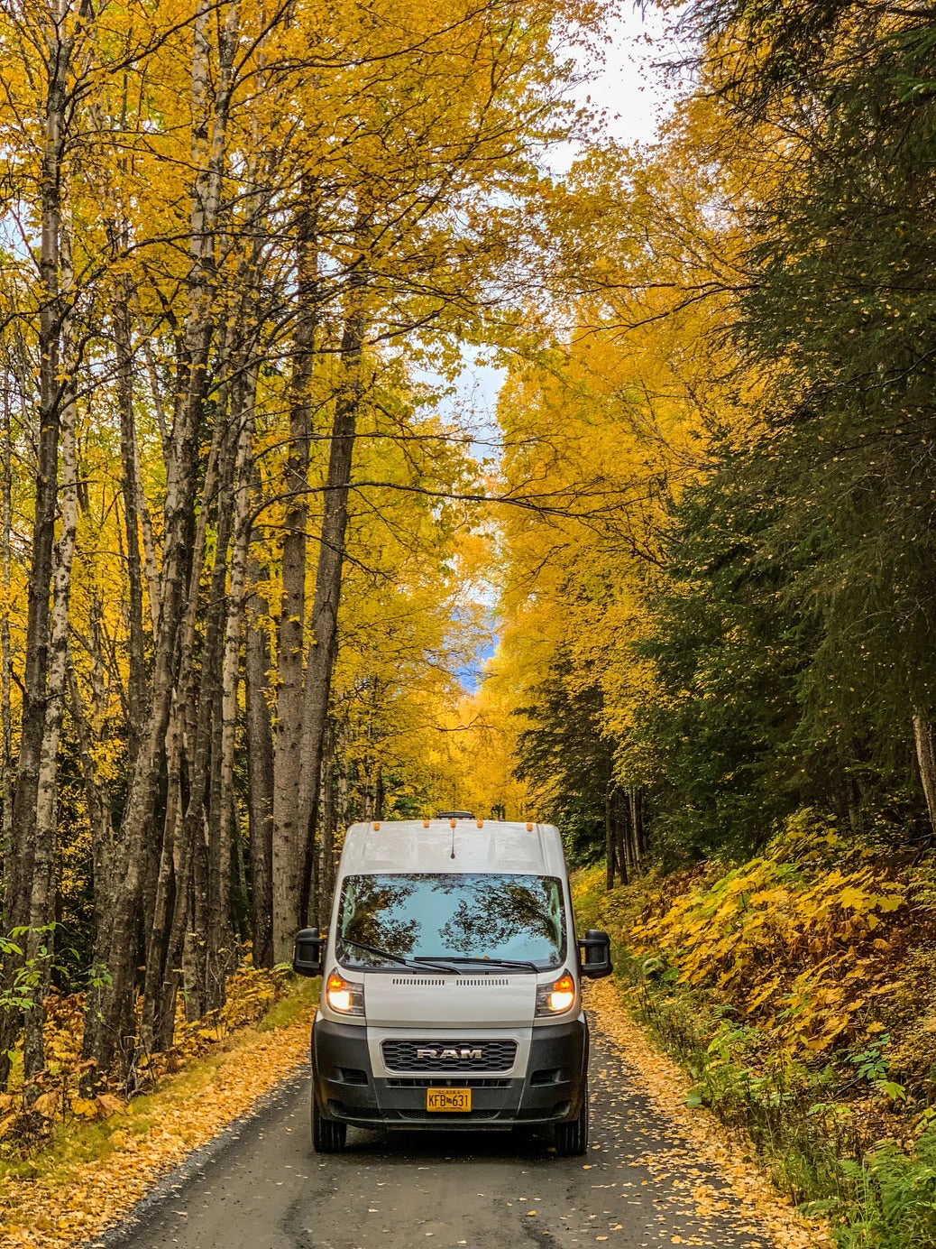 Autumn adventure with an RV rental! White van on a yellow-leaf road, framed by vibrant fall trees. — photo 11