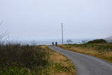 Explore the misty coast! Perfect for an RV rental road trip. Two people walk a path overlooking rugged sea stacks.