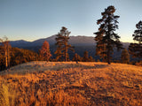 Golden sun illuminates mountain peaks, pine trees, and grassy fields. An RV rental offers this perfect scenic escape.