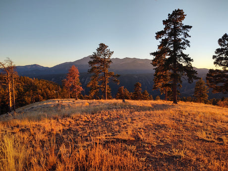Golden sun illuminates mountain peaks, pine trees, and grassy fields. An RV rental offers this perfect scenic escape.