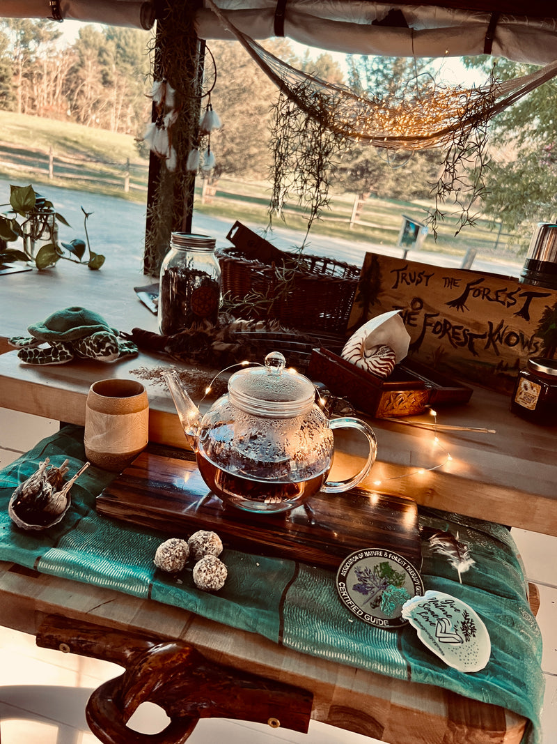 Relaxing tea time in an RV rental, surrounded by nature-themed decor and views of the forest. Forest therapy vibes! — photo 4