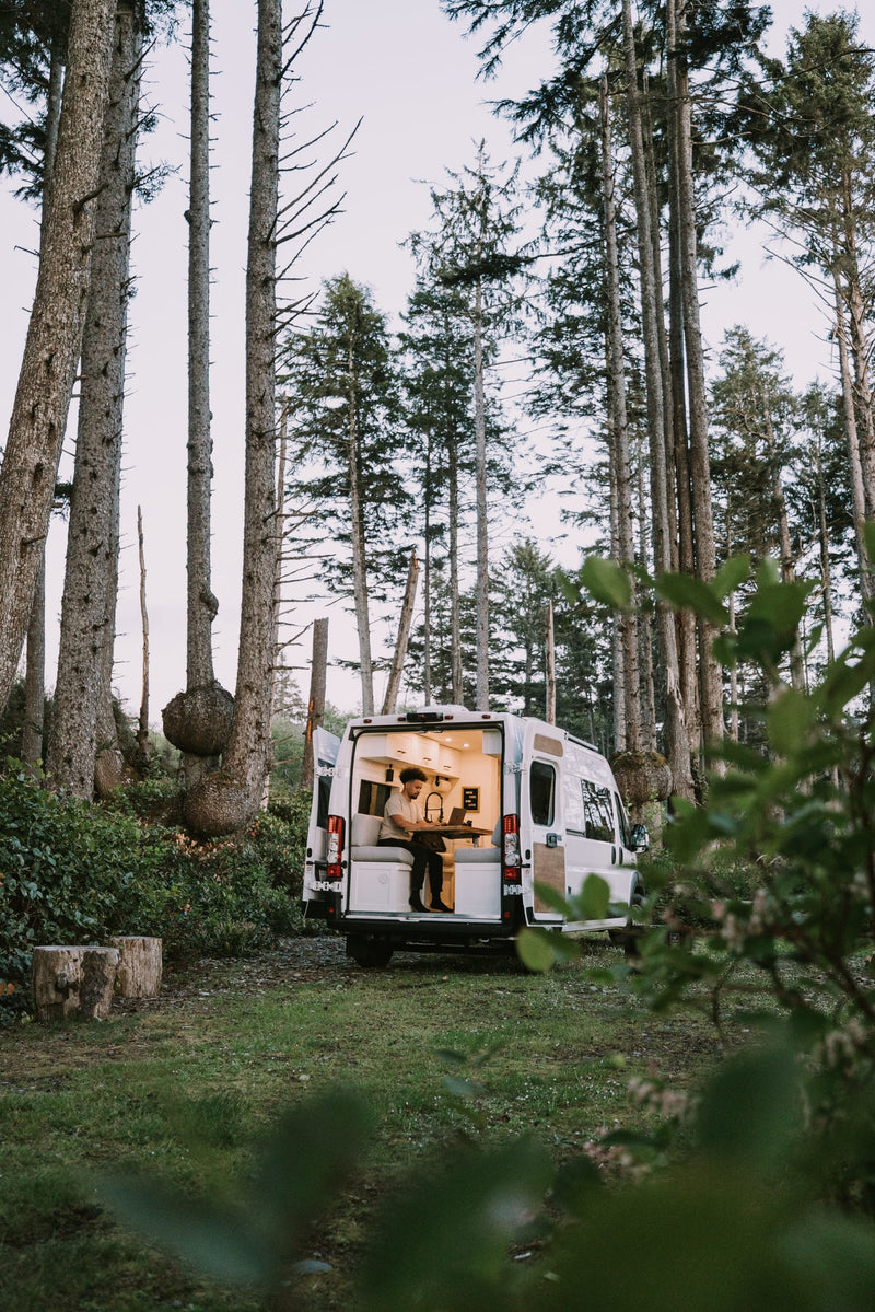 Embrace nature with an RV rental! Person working on a laptop inside a camper van, parked amidst tall forest trees. — photo 16