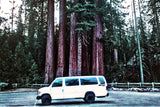 White van (RV rental) parked among colossal redwood trees in a national park. Explore nature!