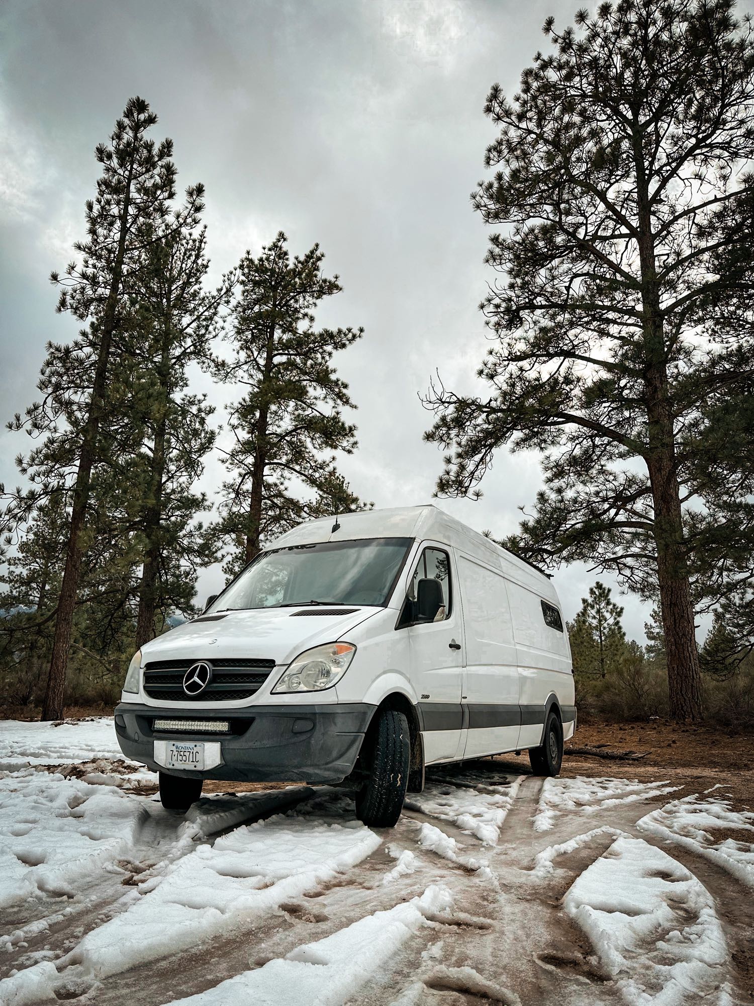 White Mercedes Sprinter camper van, ideal for RV rental adventures, is parked in a snowy pine forest on a cloudy day.