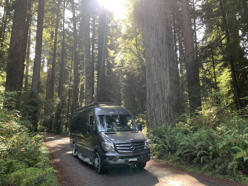 Grey RV rental Sprinter van on a dirt road in a towering redwood forest. Sunlight beams through the canopy. — photo 18