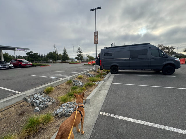 Sierra Freedom Machine — photo 2