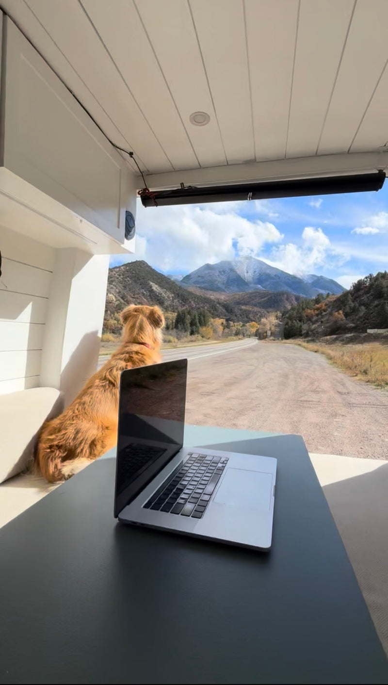 Custom Build Luxury Off-Grid Apartment on Wheels (Dog Friendly) — photo 6