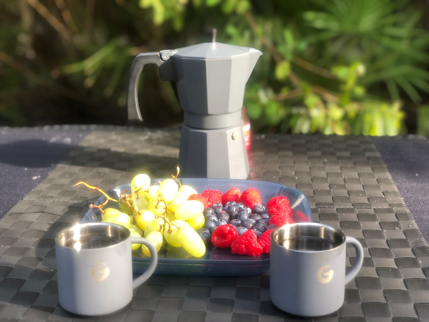 Outdoor RV rental breakfast: Moka pot coffee, fresh grapes, blueberries, & raspberries.