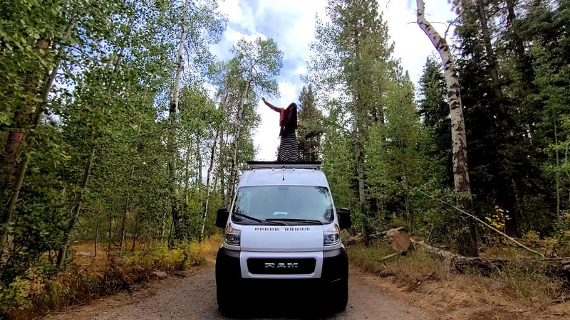 Lux Campervan | Starlink | Offgrid 2 Weeks | 4 Seasons | Huge Kitchen — photo 19