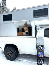 Snowy RV rental: Truck camper with two curious dogs looking out, snowboard ready for winter adventure.