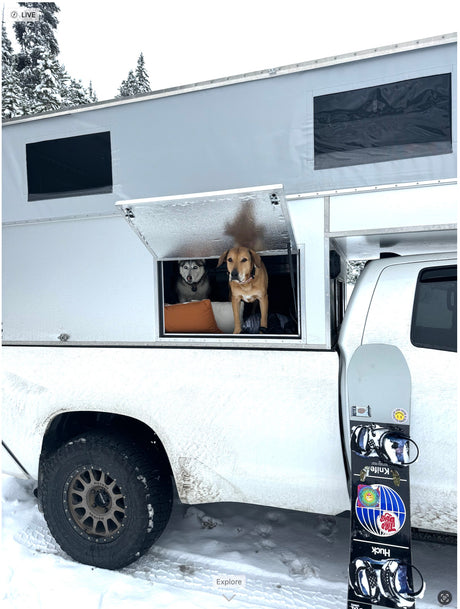 Snowy RV rental: Truck camper with two curious dogs looking out, snowboard ready for winter adventure.