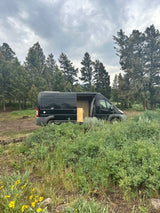 Black RV rental camper van parked in a natural setting with green bushes and tall trees under a cloudy sky. Side door open.