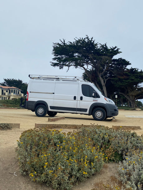 White Ram ProMaster van, often seen as an RV rental, parked in a sandy lot beside gnarled cypress trees under an overcast sky.