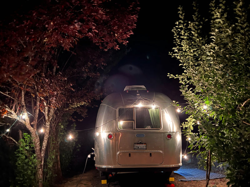  and a lit candle create a relaxing atmosphere for a perfect night in.|Modern RV rental interior with a fully equipped kitchenette — photo 14