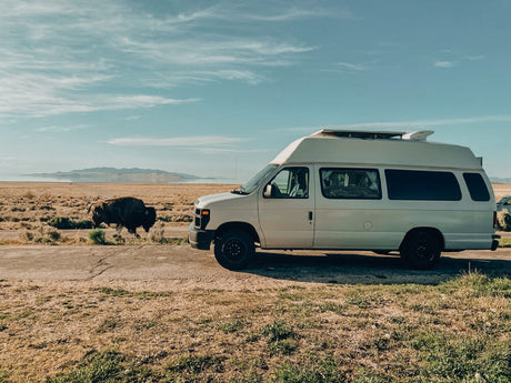 Experience an RV rental adventure: A white camper van with a surfboard and a wild bison. Scenic desert lake backdrop.