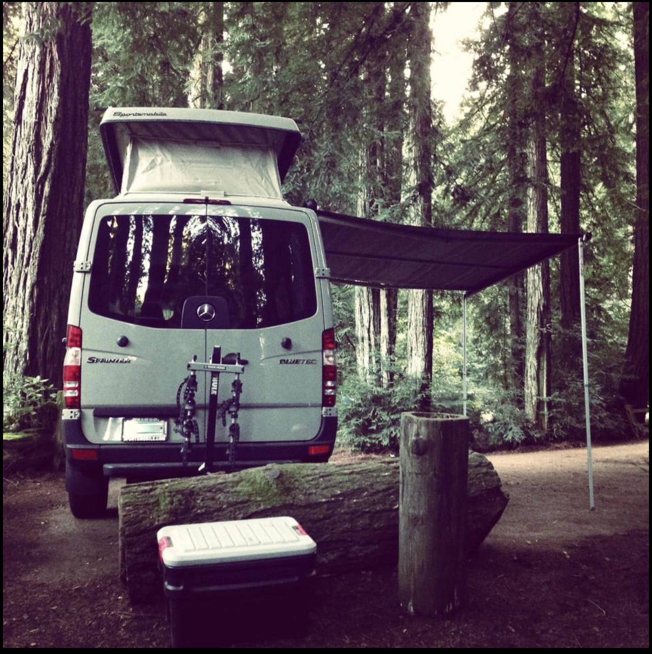 RV rental camper van with pop-top & awning in a tall forest campsite. Ideal for nature road trips.
