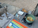 An RV rental outdoor kitchen setup with two dogs: one gray standing, one brown sleeping. A Factor meal simmers in a pot.