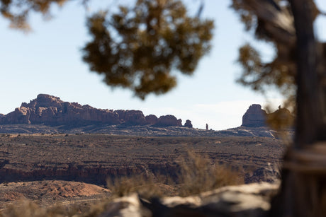 Vast desert vista: red rock mountains across a dark plain under blue sky, framed by blurred tree branches – ideal for RV rental exploration.
