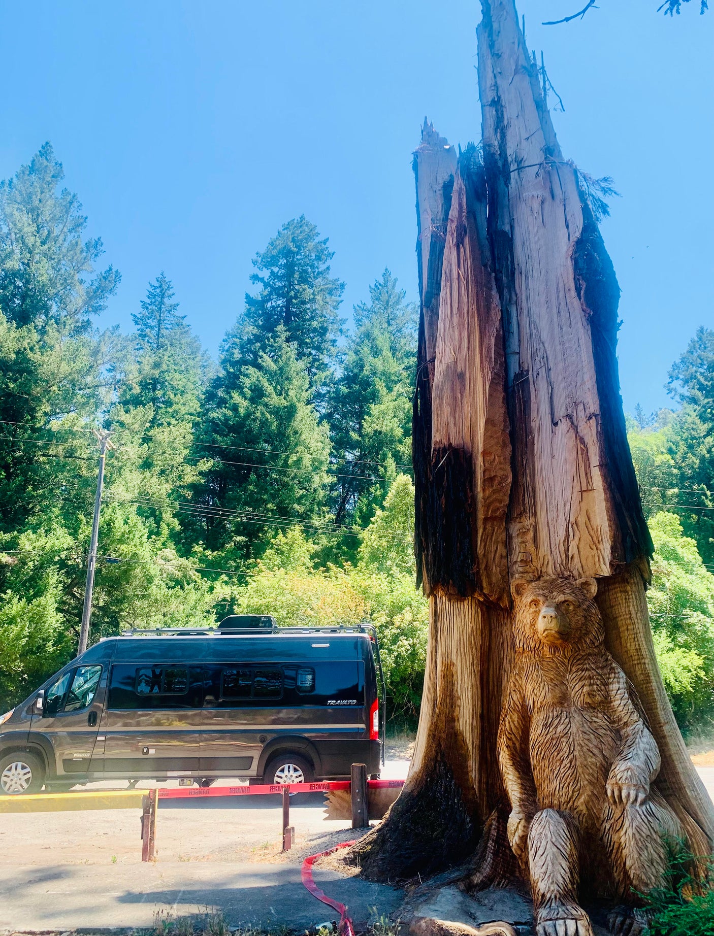 Dark RV rental parked next to a tall, carved tree stump featuring a detailed bear sculpture at its base, with red caution tape.
