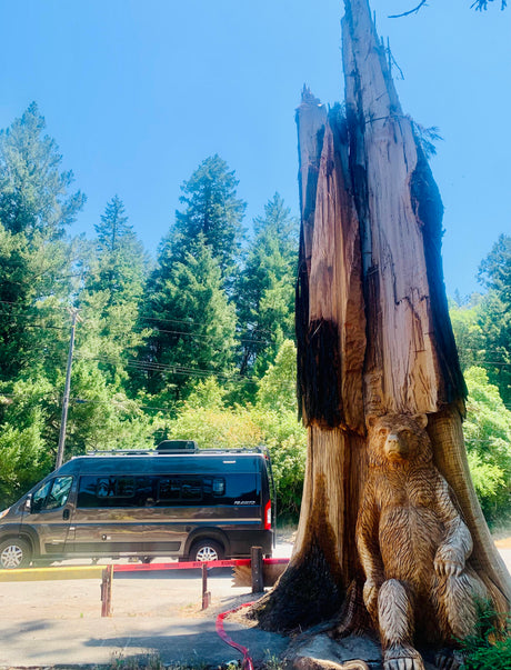 Dark RV rental parked next to a tall, carved tree stump featuring a detailed bear sculpture at its base, with red caution tape.