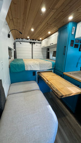 Freddysendsit 2021 camper van!