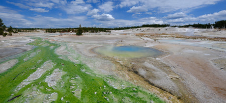 Discover Yellowstone's geothermal wonders: vivid hot springs, steaming vents, and vibrant algae stream. Plan your RV rental trip!