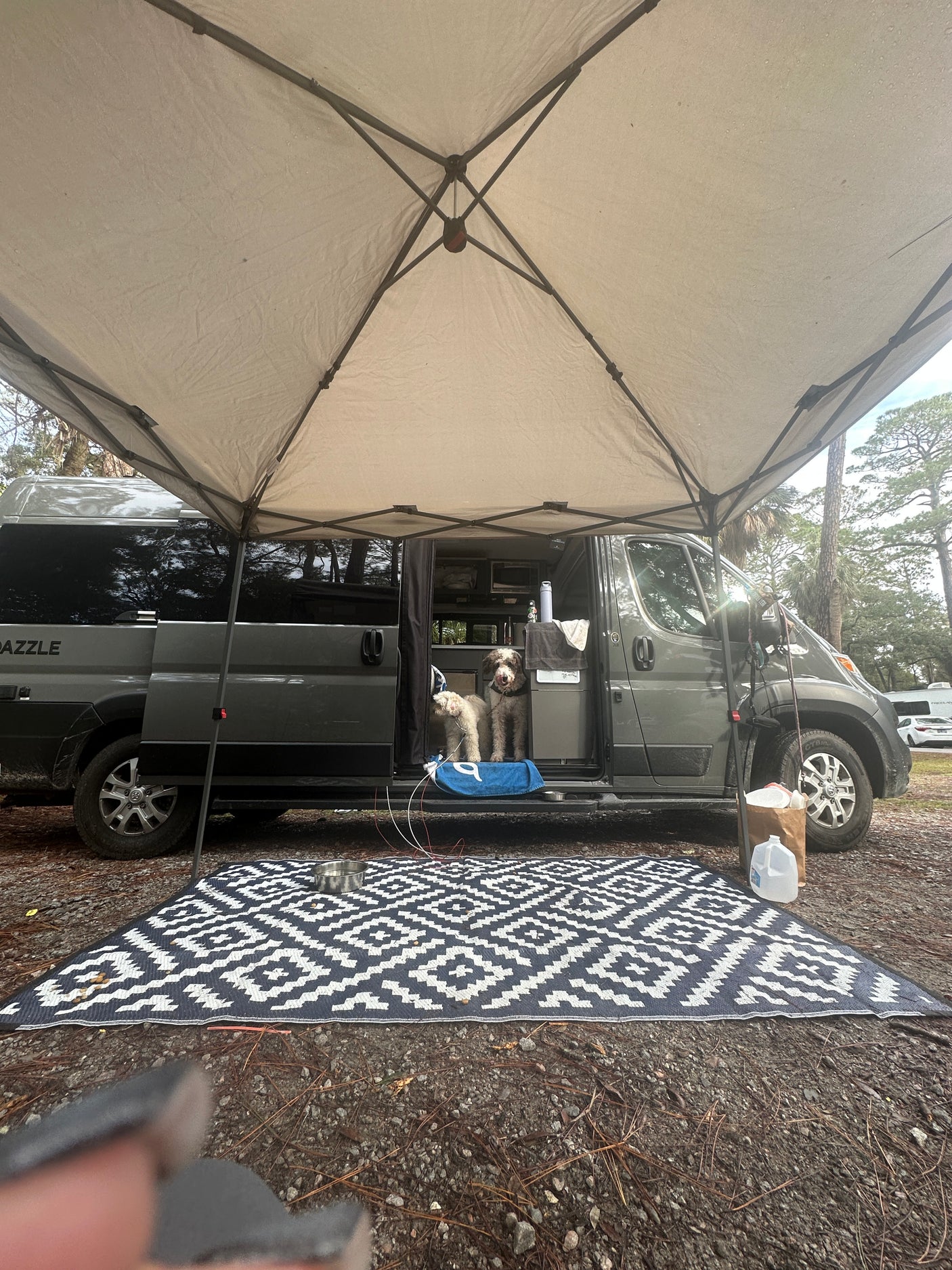 Two happy dogs in a grey RV rental with a pop-up canopy & outdoor rug at a wooded campsite.