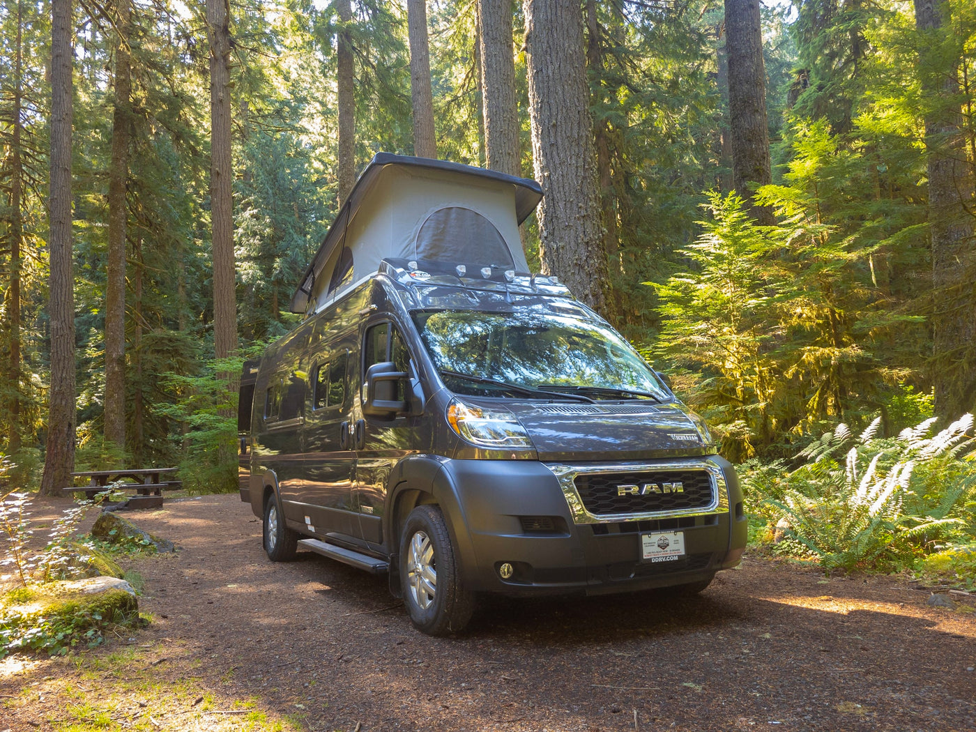  parked in a sun-dappled forest. Book your rv rental for nature escapes!|A dark grey pop-top RV rental van is parked in a beautiful — photo 9