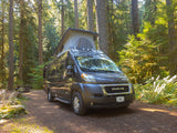 A dark grey pop-top RV rental van is parked in a beautiful, sun-dappled forest setting, ready for adventure.