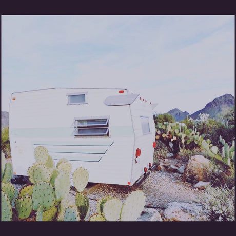 A white vintage travel trailer, a perfect RV rental, stands among prickly pear cacti in a peaceful desert with mountains.