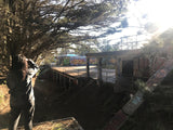 Person overlooking graffiti-covered concrete ruins & dense trees, bathed in sunlight. A unique RV rental exploration spot!