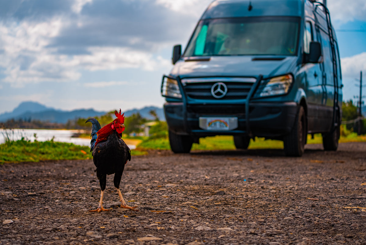 "Big Blue" - Custom Vintage Mercedes Campervan! — photo 15