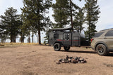 RV rental adventure: Teardrop camper & SUV parked in a pine forest with a campfire pit, ready for camping.