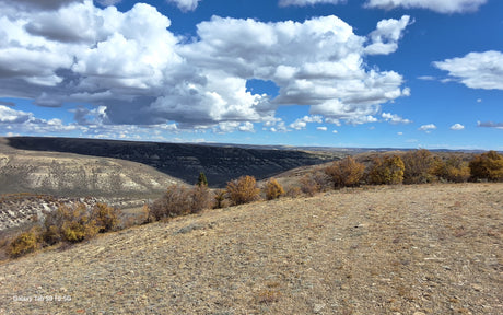 Scenic autumn landscape, ideal for an RV rental adventure. Rolling hills, big skies, and fall colors under bright clouds.