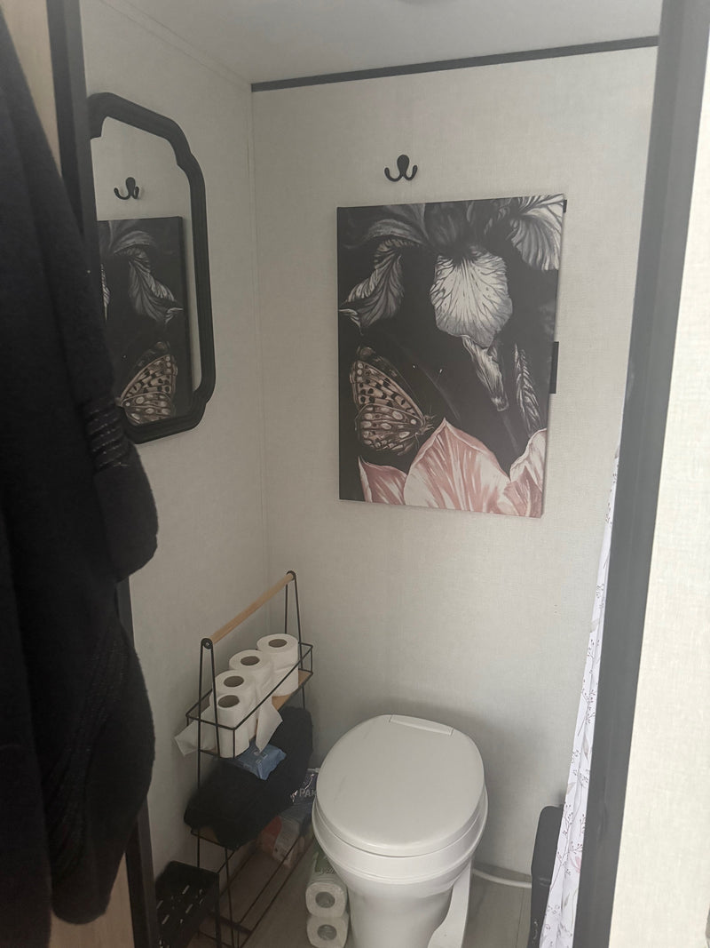 Compact RV rental bathroom with a toilet, decorative mirror, butterfly art, and practical toilet paper storage. Essential travel amenities. — photo 6