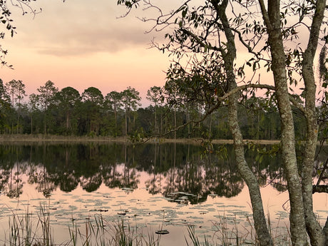 A tranquil lake at sunset, reflecting a pink sky and distant trees. Perfect for an RV rental outdoor escape.