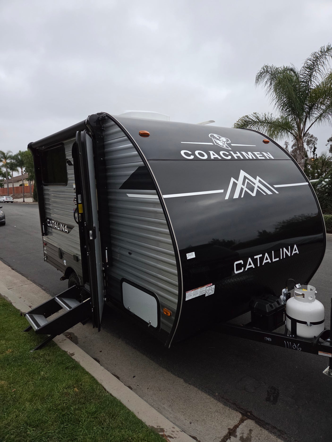 Black Coachmen Catalina travel trailer RV rental parked roadside with steps. Overcast day, palm trees in background.