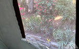 Springbar tent 8x10 with screened-in porch — used tents & canopies for sale (photo 7)