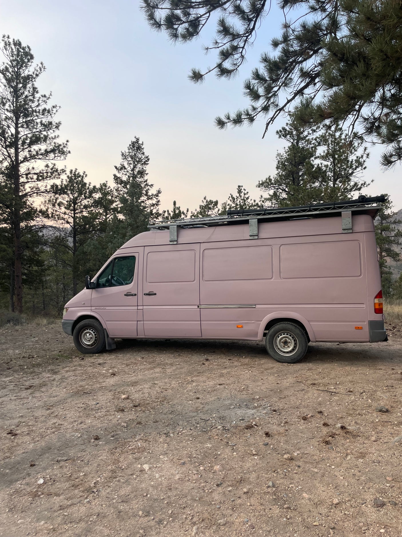 Unique pink Mercedes Sprinter camper van, ready for your next outdoor RV rental adventure, parked off-road among pine trees.