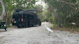 Explore with an RV rental! A black camper van is parked on a dirt path with a white egret at a lush campsite.