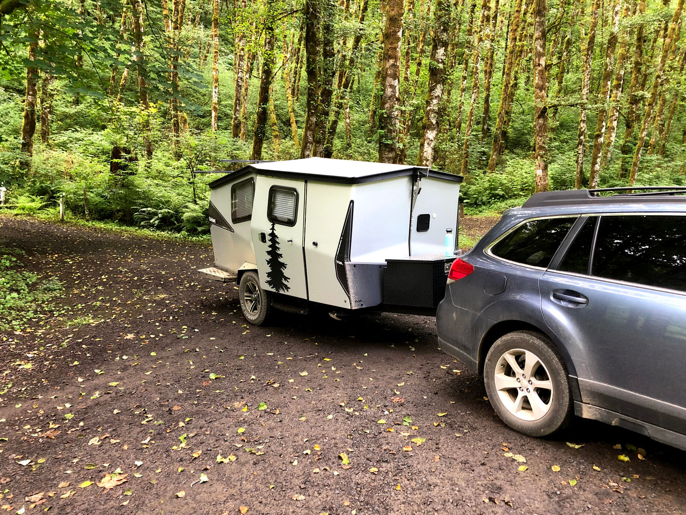 Car towing an RV rental camper in a lush, mossy forest campsite, perfect for nature getaways.