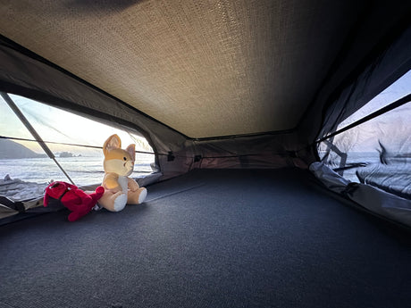 An rv rental's cozy interior, with two plush toys looking out at a stunning ocean sunset from a rooftop tent.