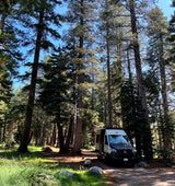 RV rental camper van parked in a sunny forest campground. Tall trees surround the peaceful campsite.