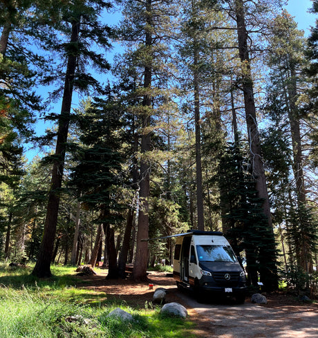 RV rental camper van parked in a sunny forest campground. Tall trees surround the peaceful campsite.