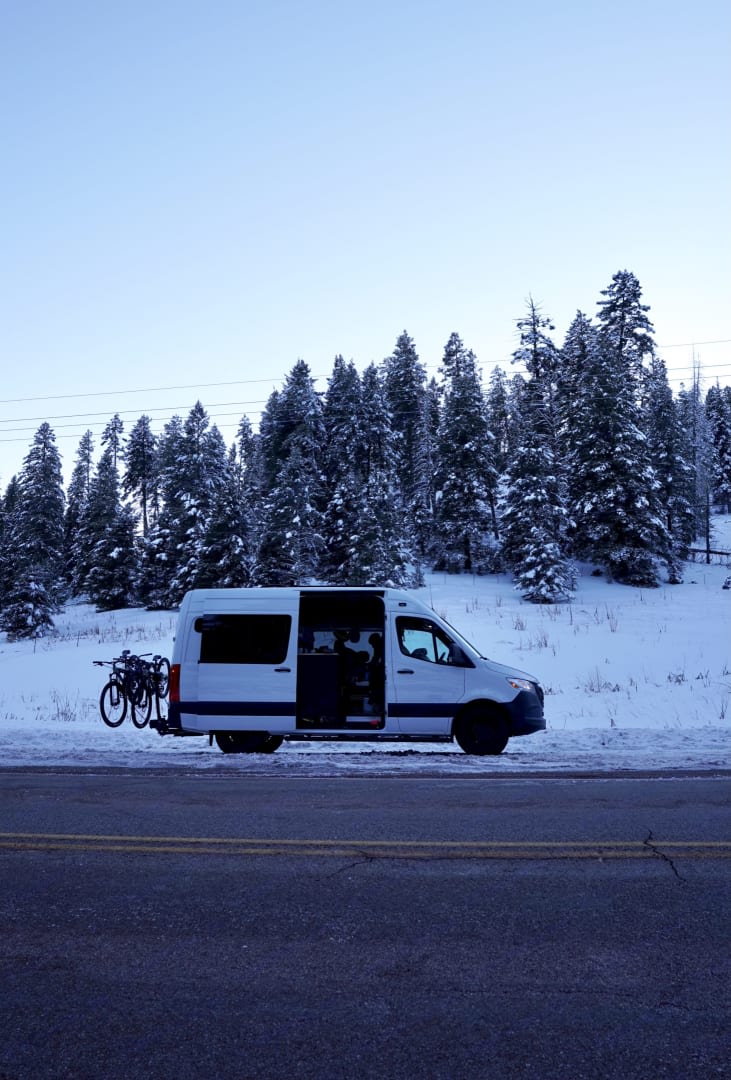  and built-in storage.|RV rental living: Modern induction cooktop & pot with a view of a serene beach from inside the camper van.|Smiling dog in an RV rental's passenger seat — photo 5