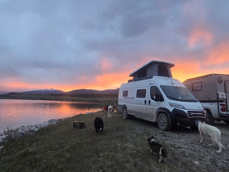 Enjoy a scenic RV rental adventure! Sunset illuminates a lake, mountains, and two camper vans with dogs in the foreground.
