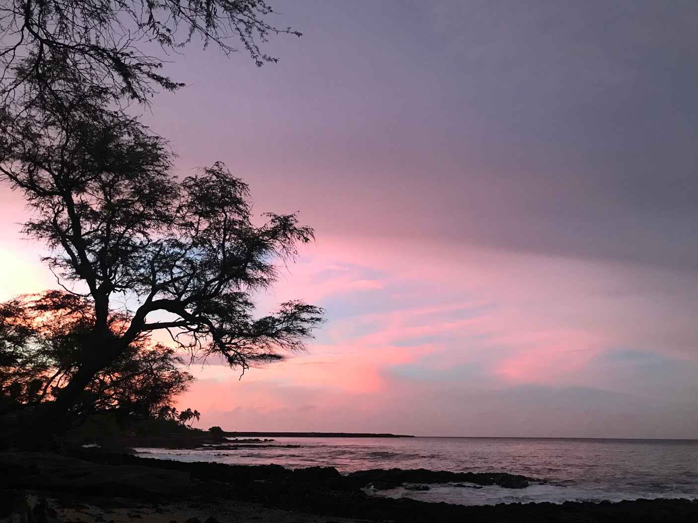 Silhouetted trees frame a vibrant purple and pink sunset over a rocky ocean coast. Perfect backdrop for an RV rental trip.
